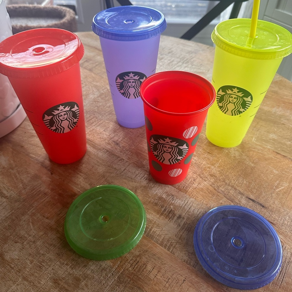 24oz 16oz Starbucks Cups